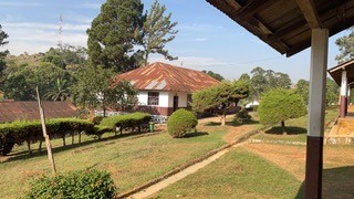 Bâtiment du laboratoire de Santé-Publique- Microbiologie- Hopital de Bangwa - Cameroun