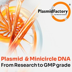 plasmidfactory